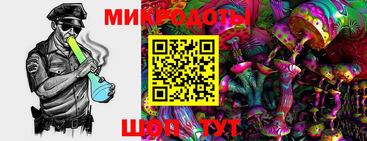 Псилоцибиновые грибы Psilocybine cubensis Лобня