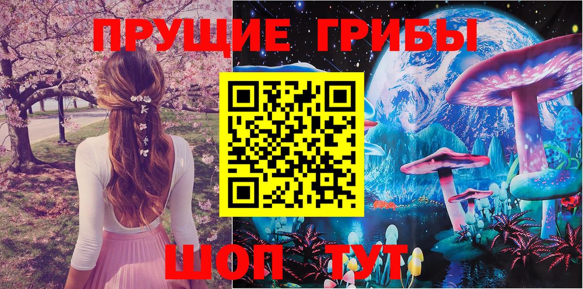 Галлюциногенные грибы Cubensis  Лобня 